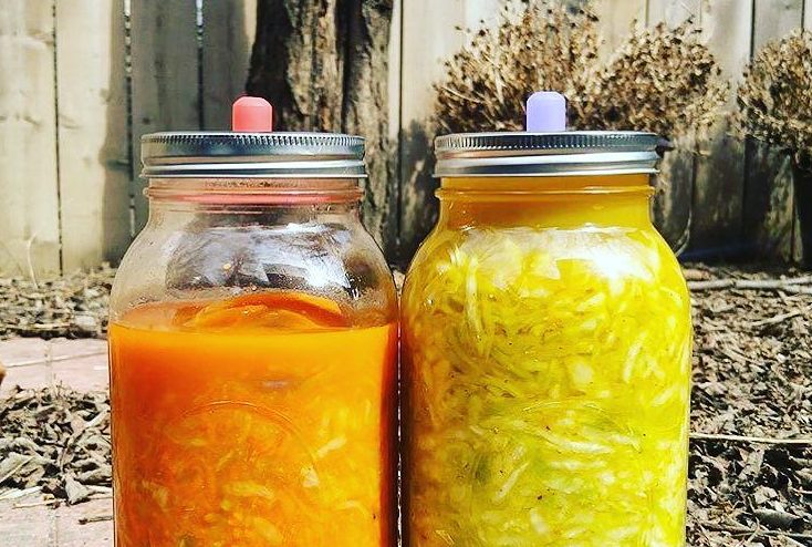 Archived illustration for Lacto-fermented Foods 101