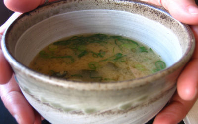 Archived illustration for Miso Magic: Probiotics & Benefits of this Ancient Ferment