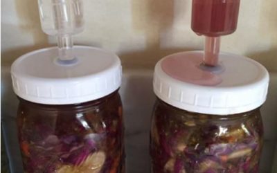 Archived illustration for How To Avoid Moldy Ferments & Other Dangers